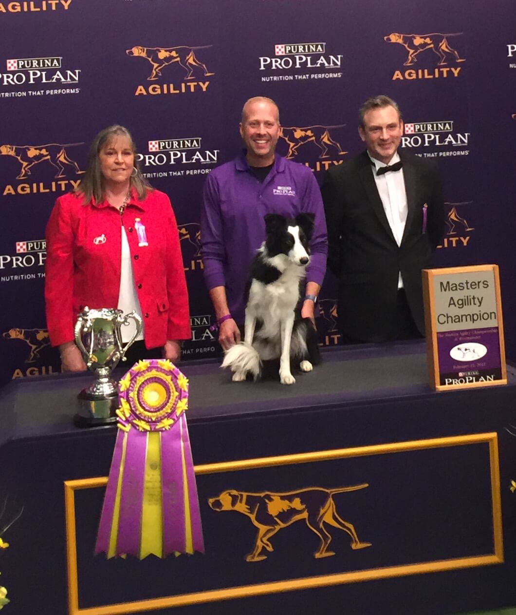 Seletiva para o FCI Agility World Championship 2023 – Brasil Agility