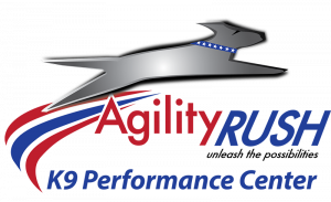 Agility Rush K9 Performance Center Agility Puppy Training CGC Nosework Scentwork Agility Uxbridge MA